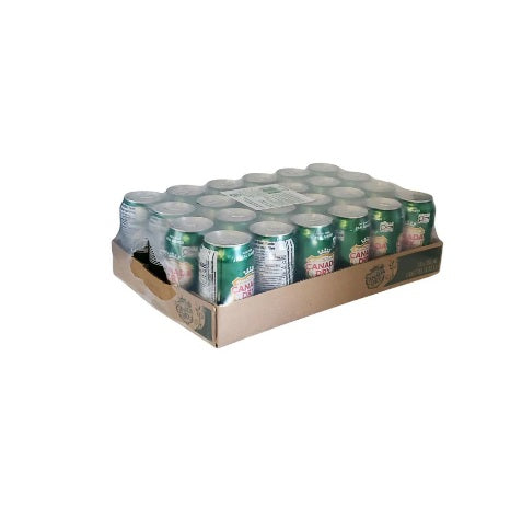 Ginger Ale (24 Cans)